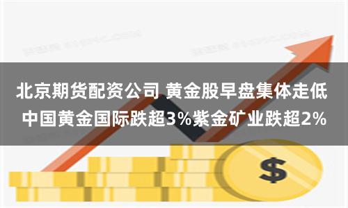 北京期货配资公司 黄金股早盘集体走低 中国黄金国际跌超3%紫金矿业跌超2%