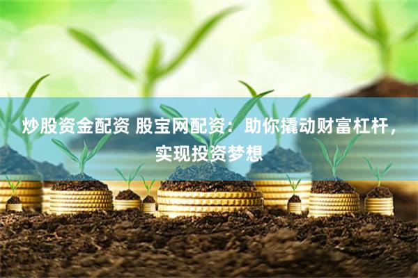 炒股资金配资 股宝网配资：助你撬动财富杠杆，实现投资梦想